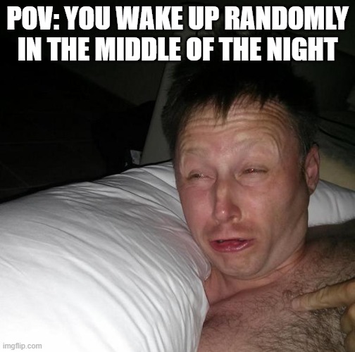 clever title | POV: YOU WAKE UP RANDOMLY IN THE MIDDLE OF THE NIGHT | image tagged in limmy waking up | made w/ Imgflip meme maker