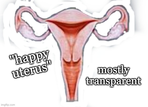 Transparent happy uterus template, for pictures that need one: Enjoy! | "happy uterus"; mostly transparent | image tagged in happy uterus,uterus | made w/ Imgflip meme maker