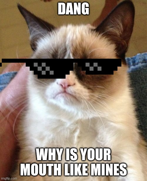 a cat whos roasting | DANG; WHY IS YOUR MOUTH LIKE MINES | image tagged in memes,grumpy cat | made w/ Imgflip meme maker