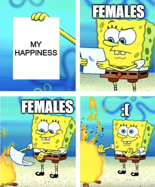 Spongebob Burning Paper | FEMALES; MY HAPPINESS; FEMALES; :( | image tagged in spongebob burning paper,relatable,females,depression,fire,mocking spongebob | made w/ Imgflip meme maker
