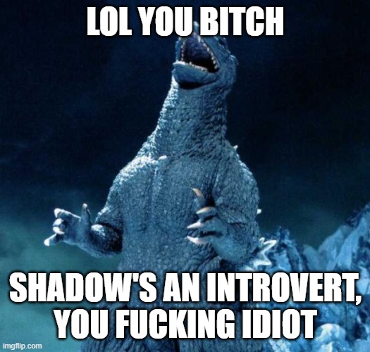 Laughing Godzilla | LOL YOU BITCH SHADOW'S AN INTROVERT, YOU FUCKING IDIOT | image tagged in laughing godzilla | made w/ Imgflip meme maker