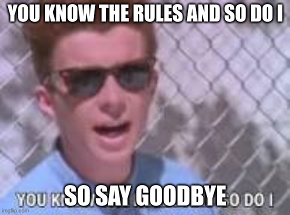 You know the rules and so do I | YOU KNOW THE RULES AND SO DO I; SO SAY GOODBYE | image tagged in you know the rules and so do i | made w/ Imgflip meme maker