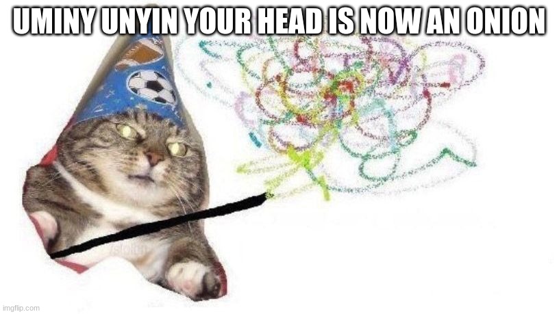 Wizard Cat | UMINY UNYIN YOUR HEAD IS NOW AN ONION | image tagged in wizard cat | made w/ Imgflip meme maker
