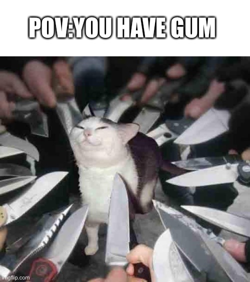 smug cat surrounded by knives | POV:YOU HAVE GUM | image tagged in smug cat surrounded by knives,cat,scary | made w/ Imgflip meme maker