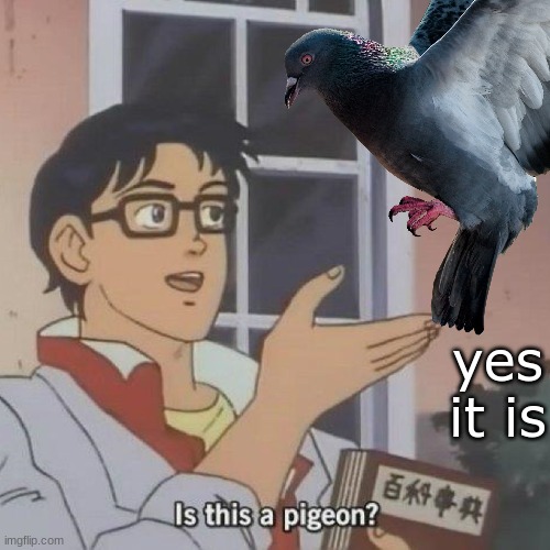 yes it is | image tagged in yeah that makes sense | made w/ Imgflip meme maker
