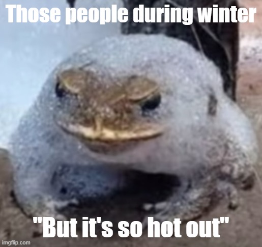 Burning hot |  Those people during winter; "But it's so hot out" | image tagged in cold weather,freezing cold | made w/ Imgflip meme maker