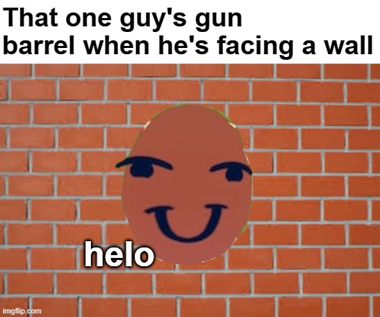 Gamers would have seen this at least once | That one guy's gun barrel when he's facing a wall; helo | image tagged in video games,guns,helo,memes | made w/ Imgflip meme maker