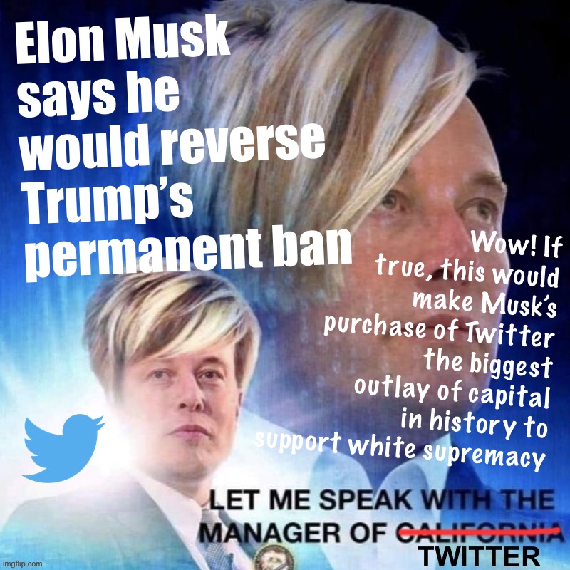 You can take the man out of apartheid, but you can’t take apartheid out of the man | Elon Musk says he would reverse Trump’s permanent ban; Wow! If true, this would make Musk’s purchase of Twitter the biggest outlay of capital in history to support white supremacy | image tagged in elon musk twitter karen,elon musk,twitter,karen,hate speech,white nationalism | made w/ Imgflip meme maker