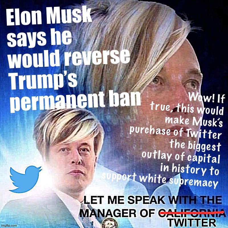 You can take the man out of apartheid, but you can’t take apartheid out of the man | Elon Musk says he would reverse Trump’s permanent ban; Wow! If true, this would make Musk’s purchase of Twitter the biggest outlay of capital in history to support white supremacy | image tagged in elon musk twitter karen | made w/ Imgflip meme maker