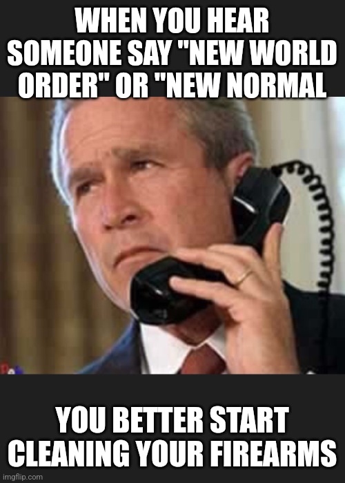 Hello George bush  | WHEN YOU HEAR SOMEONE SAY "NEW WORLD ORDER" OR "NEW NORMAL; YOU BETTER START CLEANING YOUR FIREARMS | image tagged in hello george bush | made w/ Imgflip meme maker