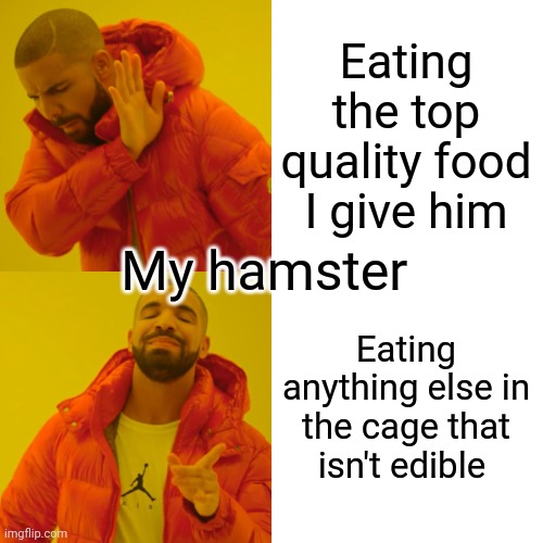 Relatable | Eating the top quality food I give him; My hamster; My hamster; Eating anything else in the cage that isn't edible | image tagged in memes,drake hotline bling | made w/ Imgflip meme maker
