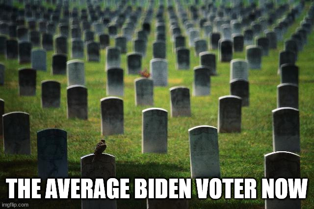 graveyard cemetary | THE AVERAGE BIDEN VOTER NOW | image tagged in graveyard cemetary | made w/ Imgflip meme maker