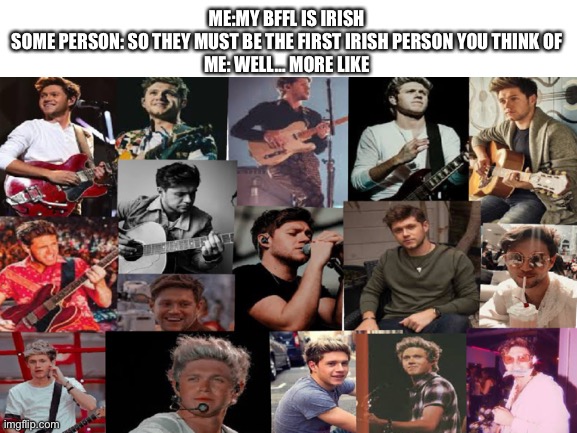 I edited it myself this is just a convo from my mind | ME:MY BFFL IS IRISH 
SOME PERSON: SO THEY MUST BE THE FIRST IRISH PERSON YOU THINK OF 
ME: WELL… MORE LIKE | image tagged in niall horan,one direction | made w/ Imgflip meme maker