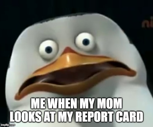 you're free trial of life has ended | ME WHEN MY MOM LOOKS AT MY REPORT CARD | image tagged in the skipper | made w/ Imgflip meme maker