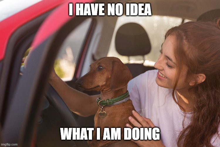 I have no idea what i am doing | I HAVE NO IDEA; WHAT I AM DOING | image tagged in driving | made w/ Imgflip meme maker