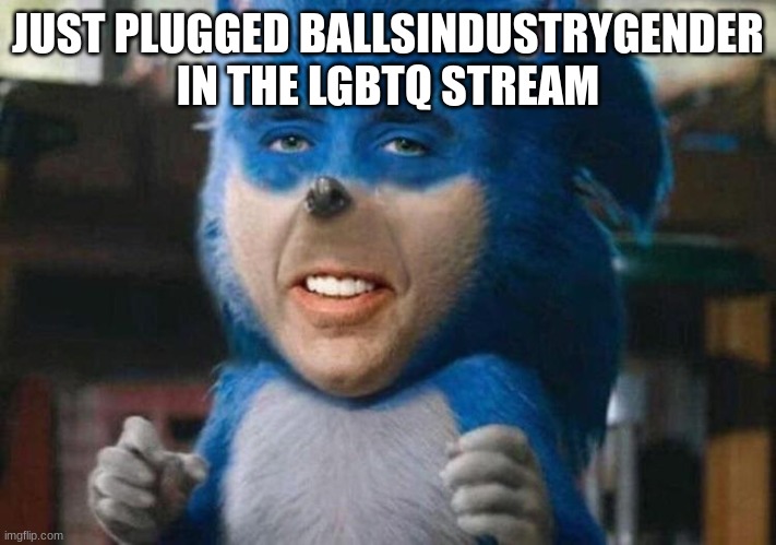 sonicholas cage | JUST PLUGGED BALLSINDUSTRYGENDER IN THE LGBTQ STREAM | image tagged in sonicholas cage | made w/ Imgflip meme maker