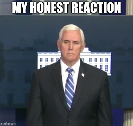 Pence “please shut up.” | MY HONEST REACTION | image tagged in pence please shut up | made w/ Imgflip meme maker