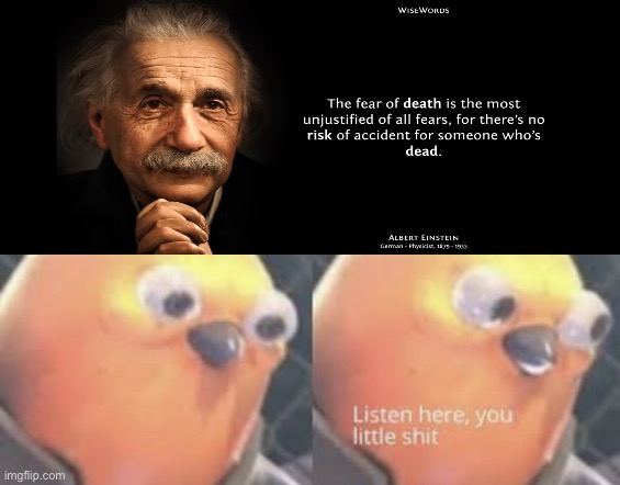 I actually agree with this quote kinda. | image tagged in listen here you little shit bird,listen here you little shit,funny memes,infinite iq,albert einstein | made w/ Imgflip meme maker
