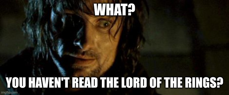 Aragorn - Not nearly frightened enough | WHAT? YOU HAVEN'T READ THE LORD OF THE RINGS? | image tagged in aragorn - not nearly frightened enough | made w/ Imgflip meme maker