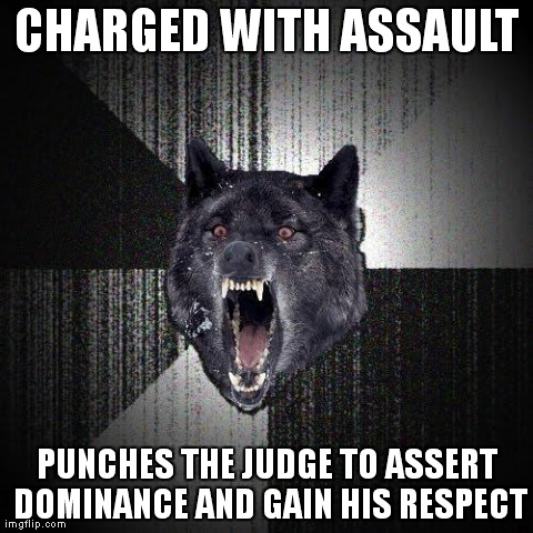 Insanity Wolf Meme | CHARGED WITH ASSAULT PUNCHES THE JUDGE TO ASSERT DOMINANCE AND GAIN HIS RESPECT | image tagged in memes,insanity wolf | made w/ Imgflip meme maker