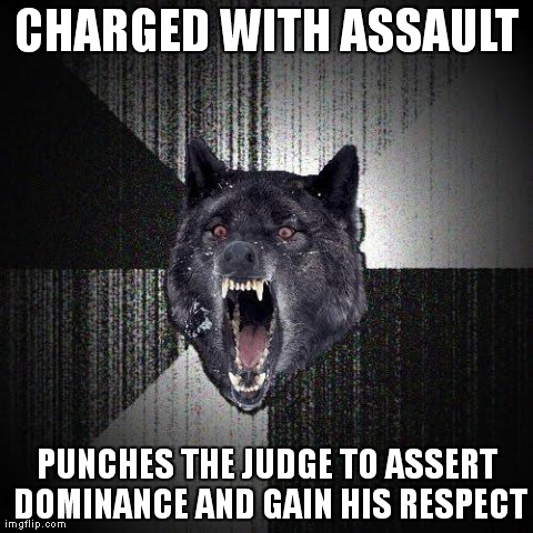 Insanity Wolf | CHARGED WITH ASSAULT PUNCHES THE JUDGE TO ASSERT DOMINANCE AND GAIN HIS RESPECT | image tagged in memes,insanity wolf | made w/ Imgflip meme maker