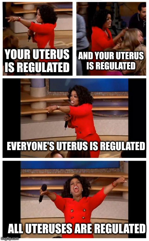 This is a major victory for people who want unwanted children |  YOUR UTERUS IS REGULATED; AND YOUR UTERUS IS REGULATED; EVERYONE'S UTERUS IS REGULATED; ALL UTERUSES ARE REGULATED | image tagged in memes,oprah you get a car everybody gets a car | made w/ Imgflip meme maker