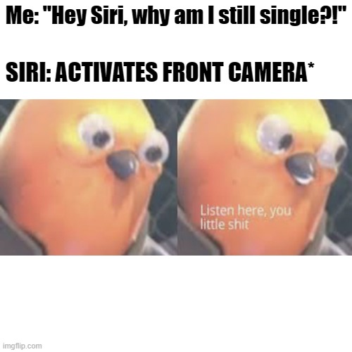 title | Me: "Hey Siri, why am I still single?!"; SIRI: ACTIVATES FRONT CAMERA* | image tagged in memes,blank transparent square | made w/ Imgflip meme maker