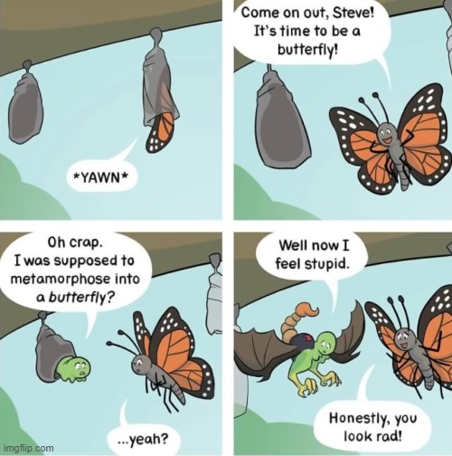image tagged in comics | made w/ Imgflip meme maker