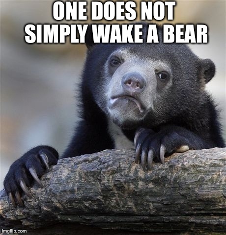 Confession Bear Meme | ONE DOES NOT SIMPLY WAKE A BEAR | image tagged in memes,confession bear | made w/ Imgflip meme maker