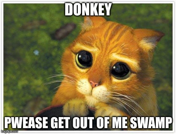 Shrek Cat | DONKEY; PWEASE GET OUT OF ME SWAMP | image tagged in memes,shrek cat | made w/ Imgflip meme maker