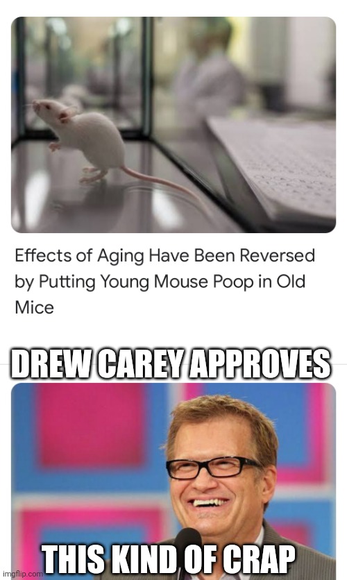 Check out this crazy shit! |  DREW CAREY APPROVES; THIS KIND OF CRAP | image tagged in mouse poop,poop,pooping | made w/ Imgflip meme maker