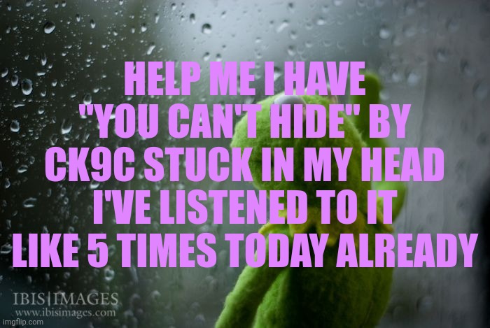 HELP ME | HELP ME I HAVE "YOU CAN'T HIDE" BY CK9C STUCK IN MY HEAD I'VE LISTENED TO IT LIKE 5 TIMES TODAY ALREADY | image tagged in help,help me,ahhhhh,aaaaaaa,help me please | made w/ Imgflip meme maker