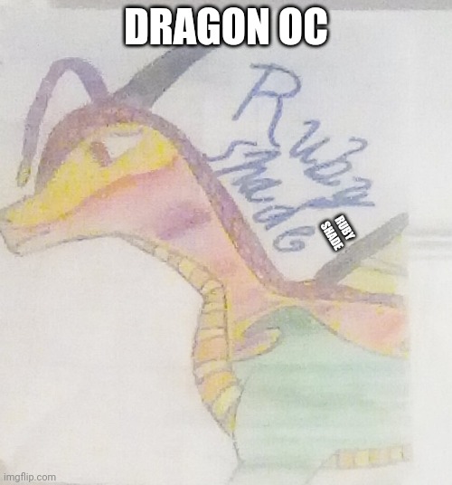 Credits: Me | DRAGON OC; RUBY SHADE | made w/ Imgflip meme maker