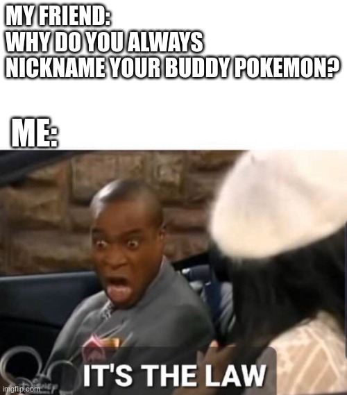 well, my law actually. | MY FRIEND: WHY DO YOU ALWAYS NICKNAME YOUR BUDDY POKEMON? ME: | image tagged in it's the law,pokemon go | made w/ Imgflip meme maker