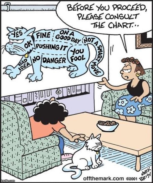 image tagged in comics/cartoons | made w/ Imgflip meme maker