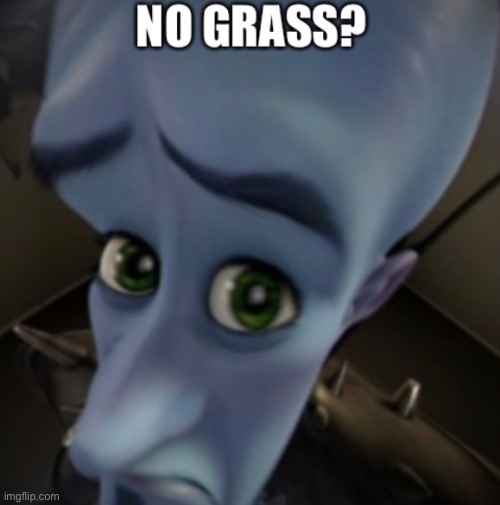 Megamind ? | image tagged in idk | made w/ Imgflip meme maker