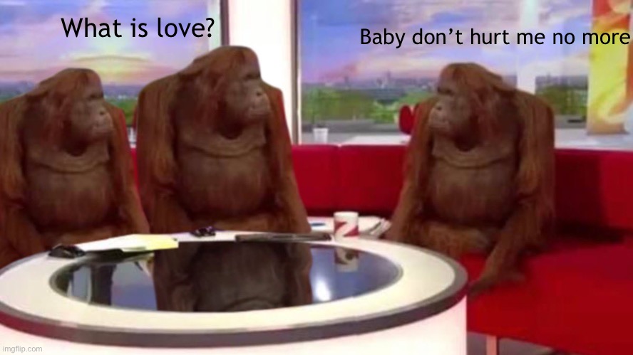 Lulz | What is love? Baby don’t hurt me no more | image tagged in orangutan interview | made w/ Imgflip meme maker
