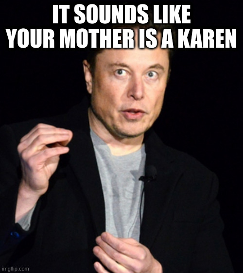 musk | IT SOUNDS LIKE YOUR MOTHER IS A KAREN | image tagged in musk | made w/ Imgflip meme maker