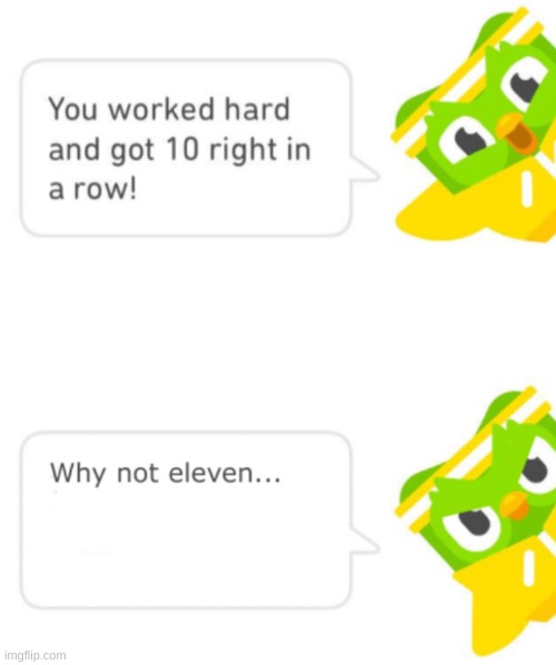 duolingo is fricking kill you and your family | image tagged in duolingo | made w/ Imgflip meme maker