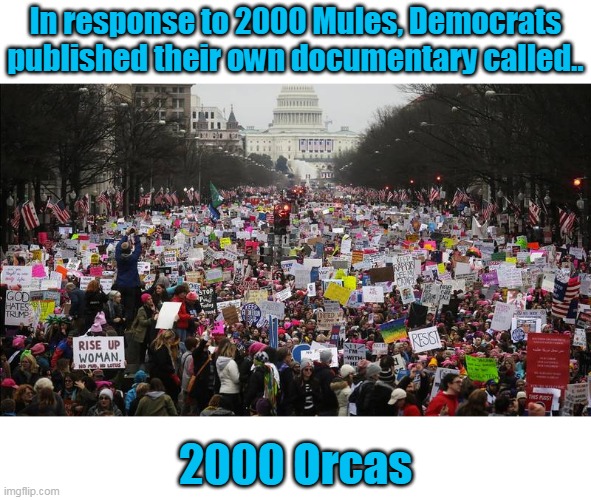 Coming to a buffe... err.. theatre near you! | In response to 2000 Mules, Democrats published their own documentary called.. 2000 Orcas | image tagged in women march,orcas,save the whales,democrats,left,liberals | made w/ Imgflip meme maker