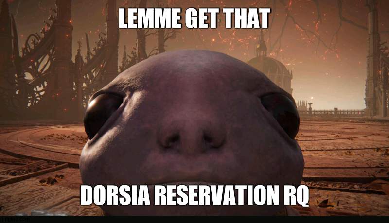 strem mod momen | LEMME GET THAT; DORSIA RESERVATION RQ | image tagged in staring albinauric | made w/ Imgflip meme maker