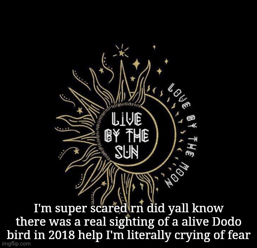 Love moon | I'm super scared rn did yall know there was a real sighting of a alive Dodo bird in 2018 help I'm literally crying of fear | image tagged in love moon | made w/ Imgflip meme maker