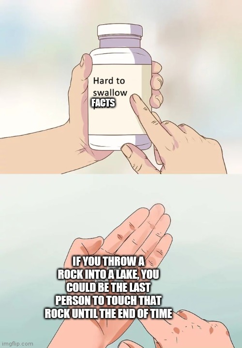 Hard To Swallow Pills Meme | FACTS; IF YOU THROW A ROCK INTO A LAKE, YOU COULD BE THE LAST PERSON TO TOUCH THAT ROCK UNTIL THE END OF TIME | image tagged in memes,hard to swallow pills,rock,pills | made w/ Imgflip meme maker