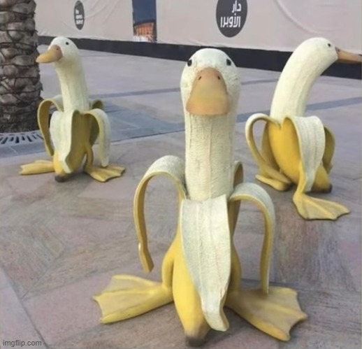 image tagged in awesome | made w/ Imgflip meme maker