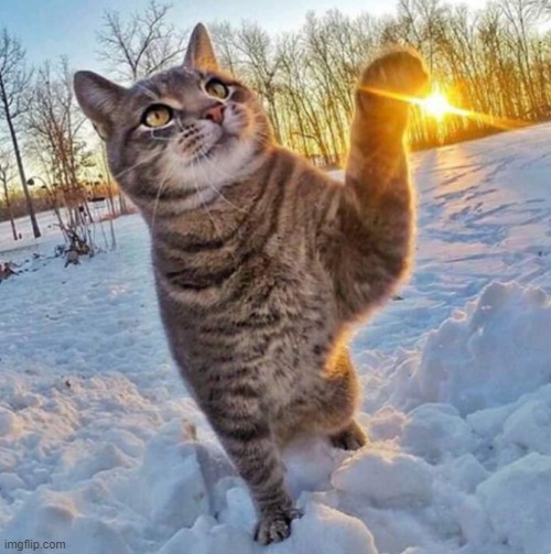 image tagged in awesome | made w/ Imgflip meme maker