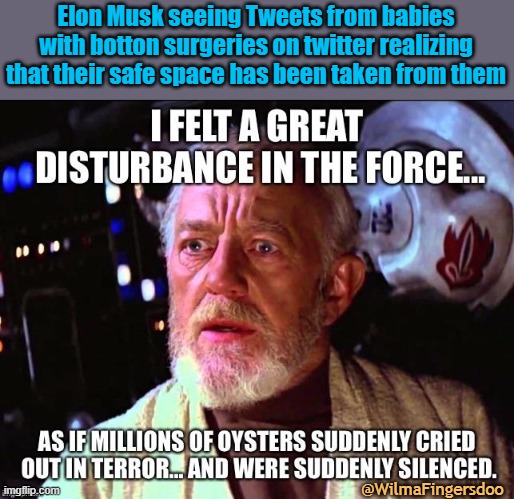 Elon Musk seeing Tweets from babies with botton surgeries on twitter realizing that their safe space has been taken from them; @WilmaFingersdoo | image tagged in twitter,elon musk,free speech | made w/ Imgflip meme maker