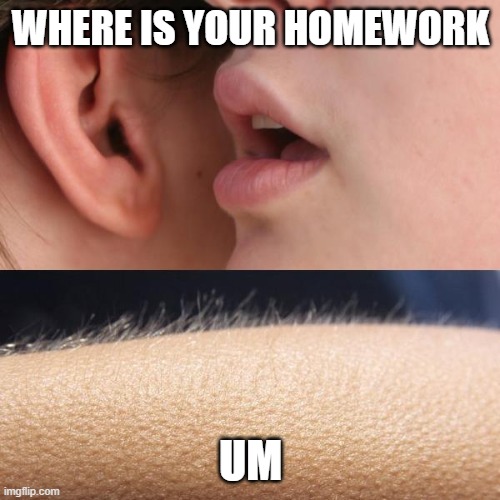 Whisper and Goosebumps | WHERE IS YOUR HOMEWORK; UM | image tagged in whisper and goosebumps | made w/ Imgflip meme maker