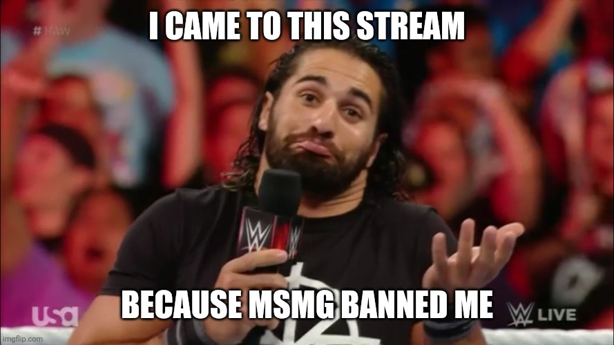 So here i am | I CAME TO THIS STREAM; BECAUSE MSMG BANNED ME | image tagged in seth rollins fact | made w/ Imgflip meme maker