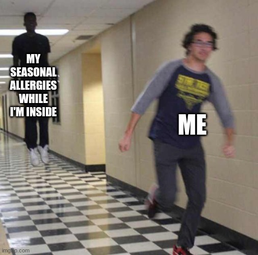 I literally sneezed 6 times and decided to make this. | MY SEASONAL ALLERGIES WHILE I'M INSIDE; ME | image tagged in floating boy chasing running boy | made w/ Imgflip meme maker