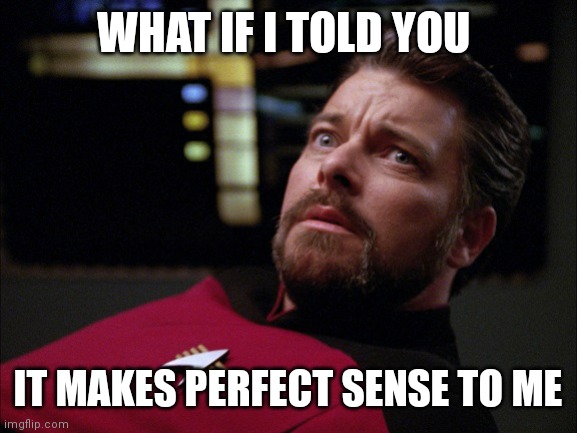 What if I told you it makes perfect sense to me | WHAT IF I TOLD YOU; IT MAKES PERFECT SENSE TO ME | image tagged in riker that looks scary | made w/ Imgflip meme maker